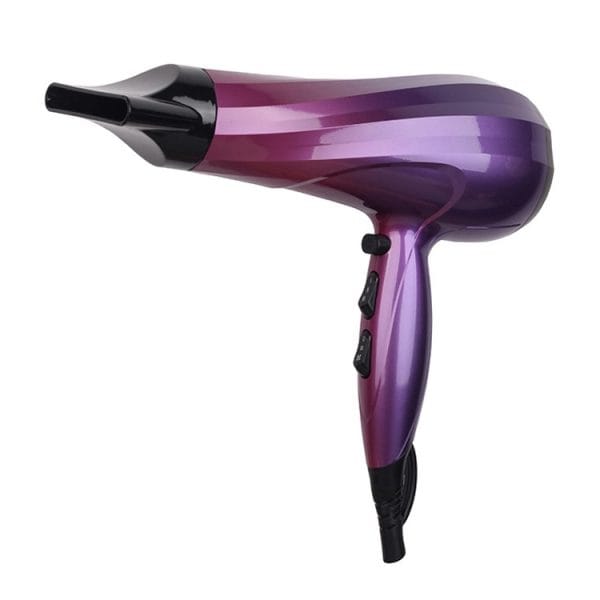 China Personal care Hair Dryer Manufacturer