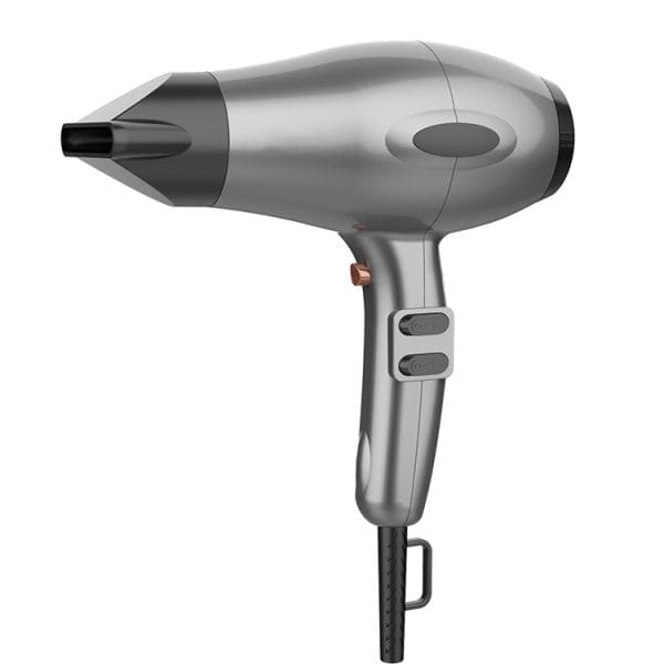 China Salon Hair Dryer factory