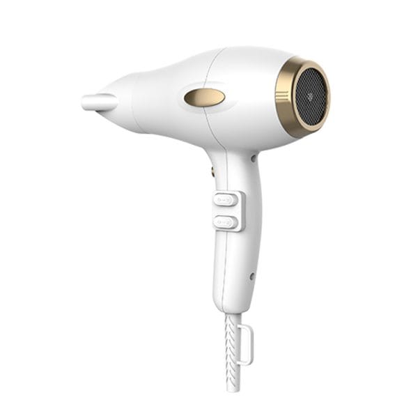 Salon Hair Dryer
