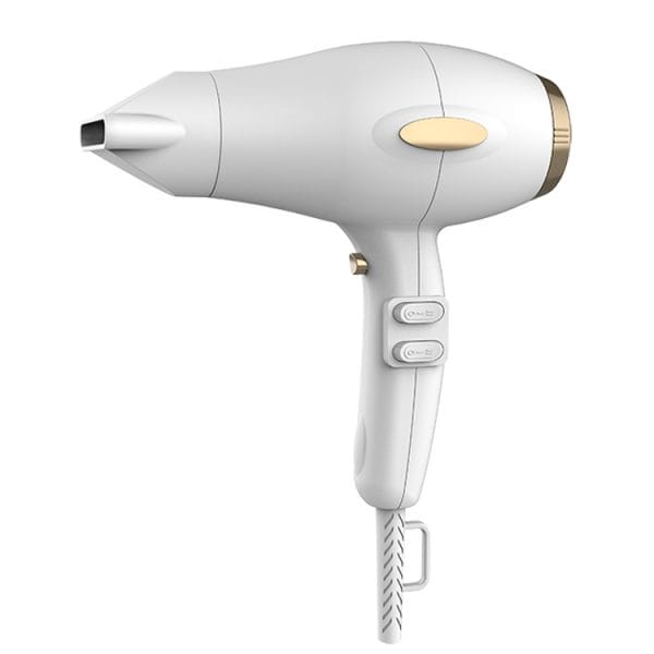 Salon Hair Dryer factory
